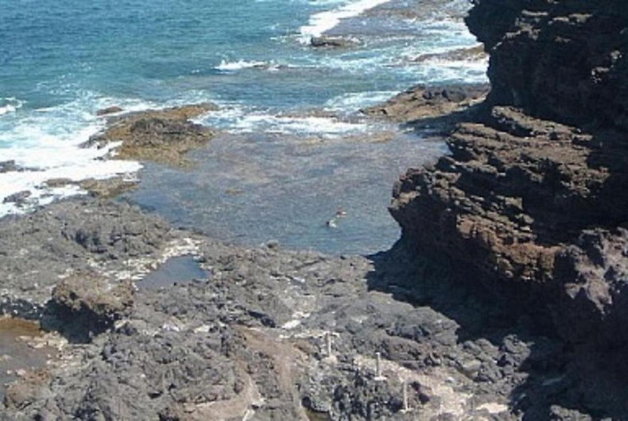 Vista Faro Sardina Lejlighed Las Palmas de Gran Canaria Eksteriør billede